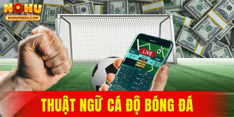Thuật ngữ cá độ bóng đá